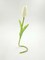 10 Artificial Tulips Flower Latex Real Touch Bridal Wedding Bouquet Home Decor